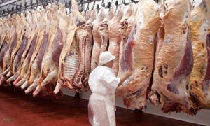 El gremio de la carne cerró paritarias