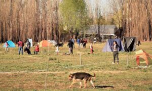 Kicillof estudia comprar tierras y otorgar subsidios por 50 mil pesos