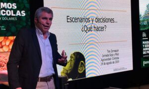 Mercados: Recomiendan “no contradecir tendencias, pero con coberturas”