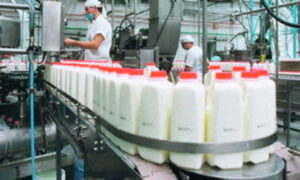 Presentaron líneas de financiamiento para la industria lechera bonaerense