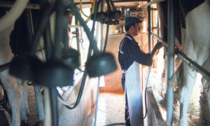 Tamberos de Córdoba y Santa Fe piden recomposición del precio