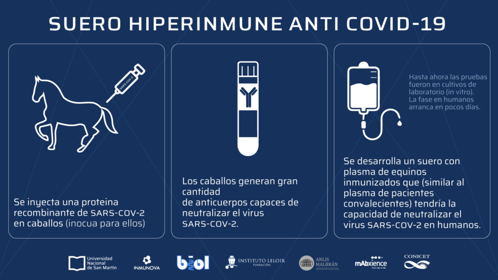 Fuerte debate por el uso de suero equino
