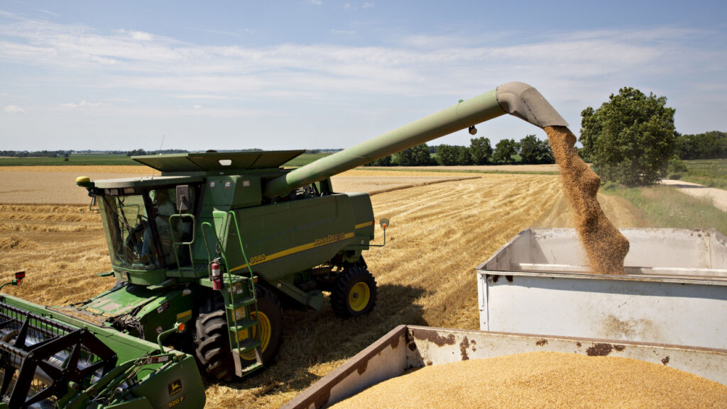 Trigo: Productores santafesinos con márgenes muy ajustados