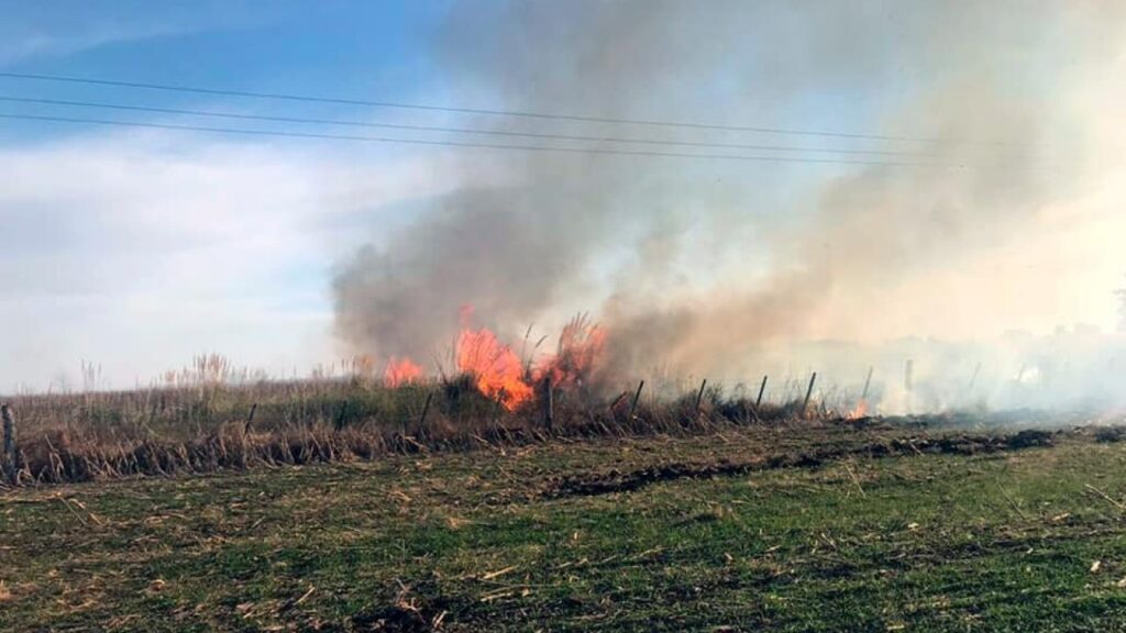 Un grupo mapuche RAM se adjudicó incendios en campos bonaerenses