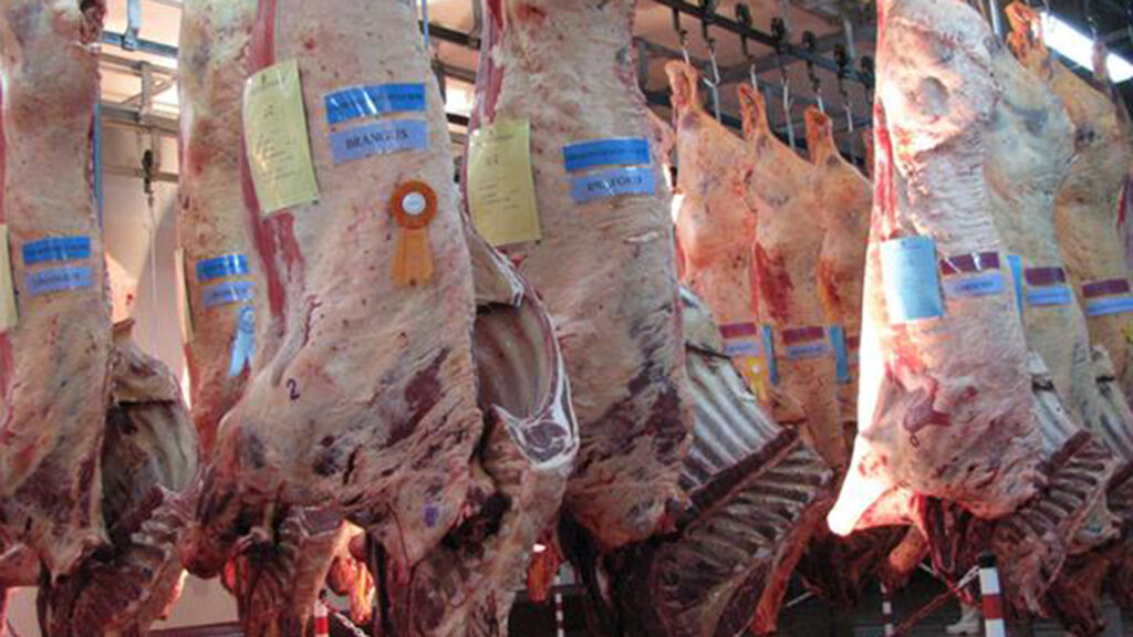 Los cuatro «daños» que dejó la anterior intervención en las carnes