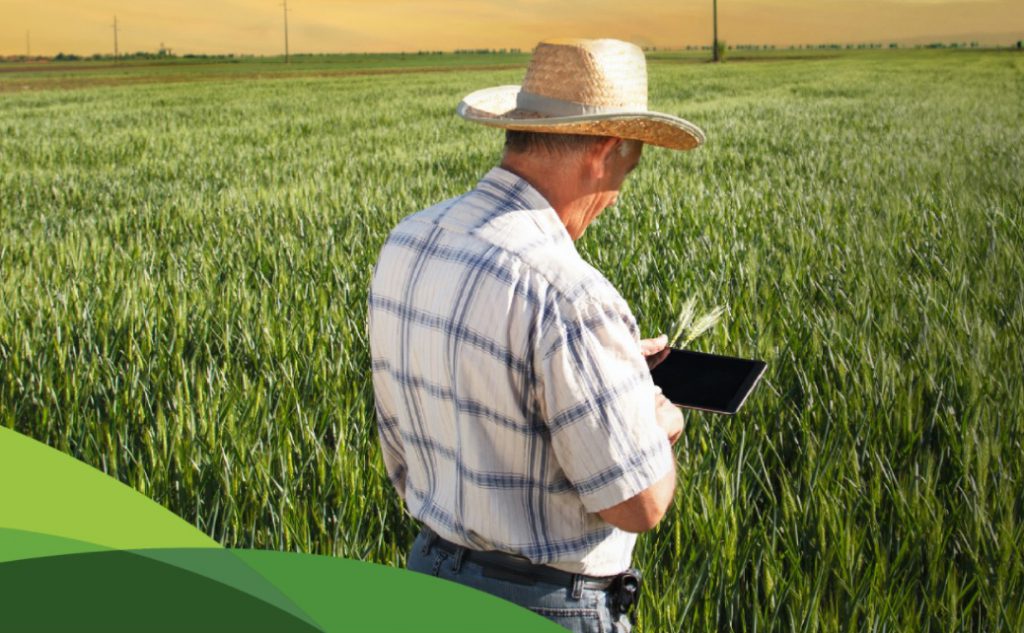 Las elecciones, la economía y el sector agro