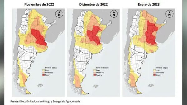 Un informe revela el dramático impacto de la sequía en Santa Fe – Noticampo