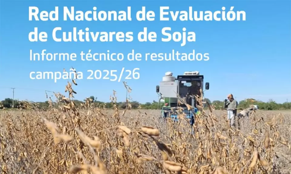 Qué dijeron los ensayos de soja en Junín