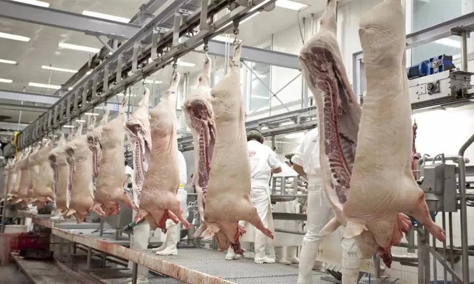 Crece la exportación de carne de cerdo y el consumo alcanza nuevos máximos