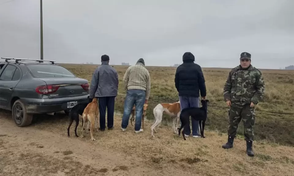 Buenos Aires: el diputado Bugallo busca prohibir la caza furtiva en los campos