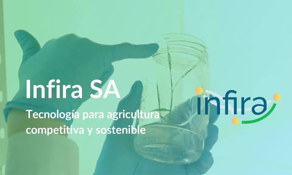 Qué es Infira, la startup santafesina que propone otra forma de cultivar