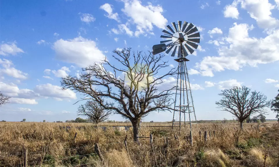 Ante un mercado comprador se acelera la venta de campos improductivos