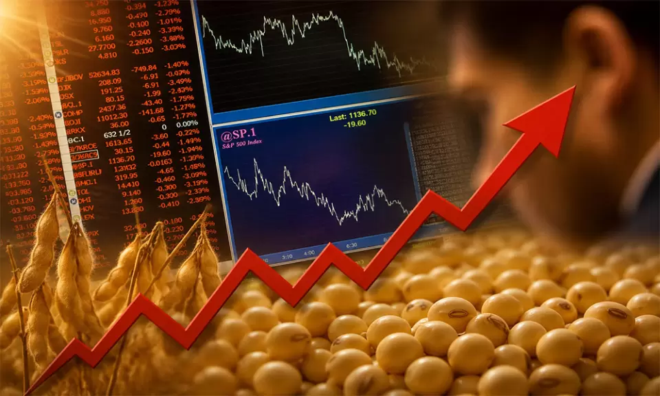 Mejoran los precios, ¿qué hacer con los granos y los pesos?