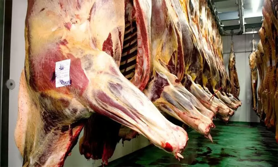 Argentina es la segunda exportadora mundial de carne de caballo
