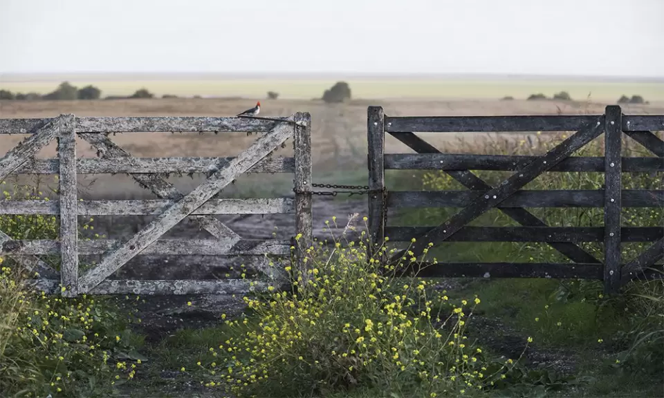 El Gobierno renunció a cambiar la Ley de Tierras Rurales