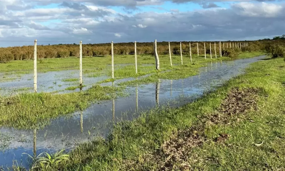 Advierten por excesos hídricos y humedad extrema en la zona núcleo