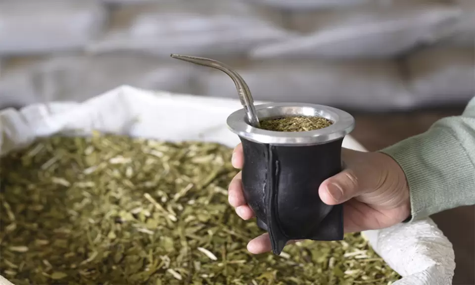 Cuál es la yerba que más consumen los argentinos y cuáles completan el ranking