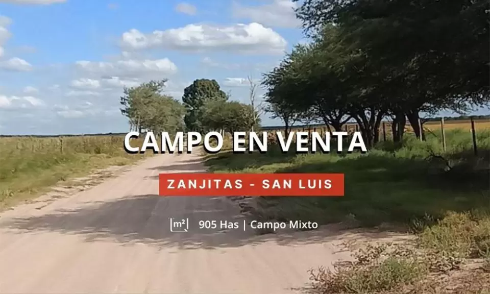 San Luis: cuánto cuesta la hectárea de campo según la zona