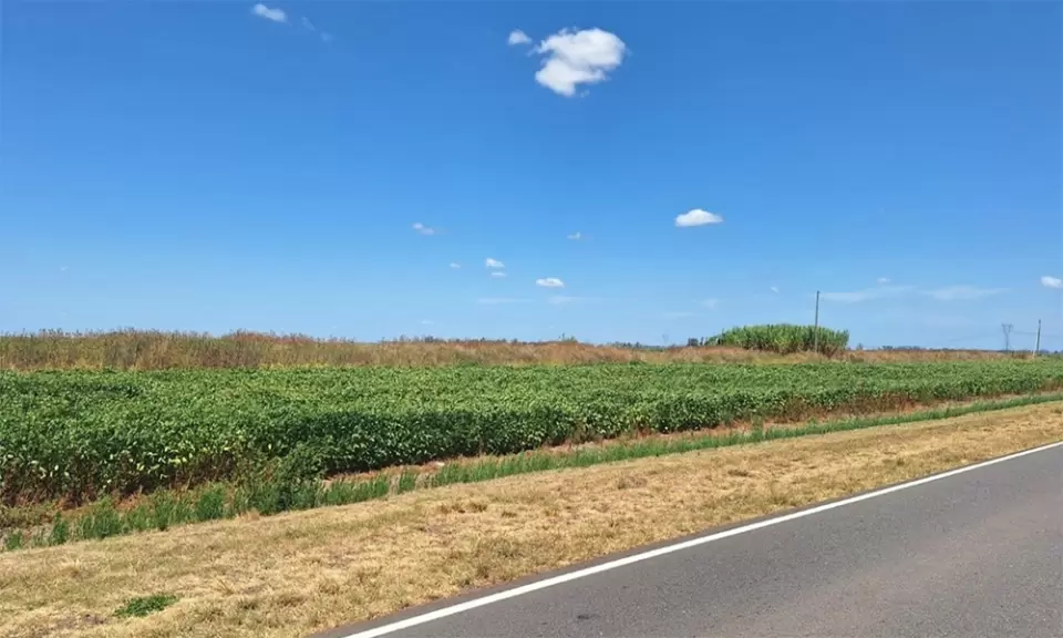 Cómo son los proyectos que sumarían 50.000 hectáreas al agro