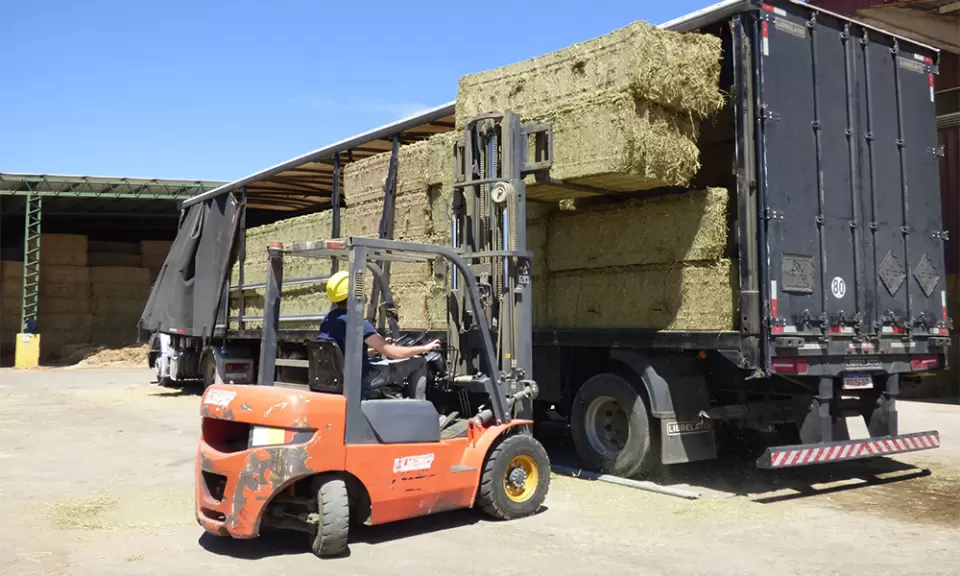 Empresa pampeana sumo a sus servicios a petroleras la exportación de alfalfa
