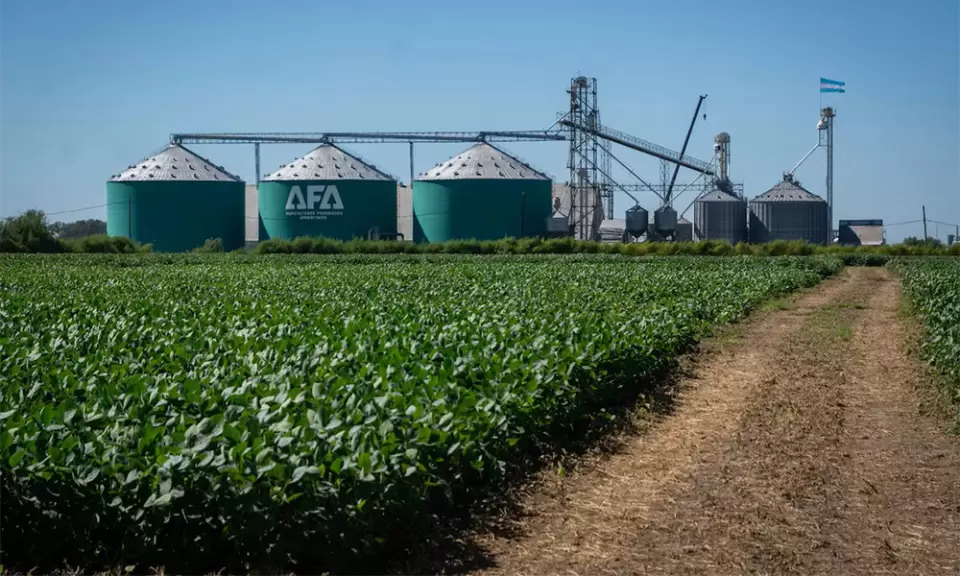 Más de 1200 jóvenes productores de AFA se darán cita en Rosario