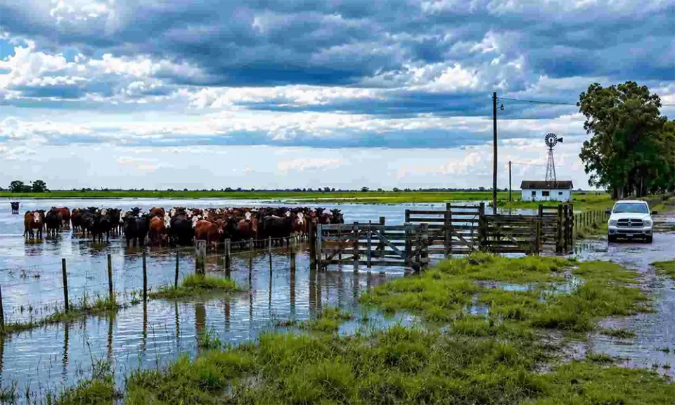 ¿Está preparado el campo bonaerense para recibir el doble de precipitaciones?