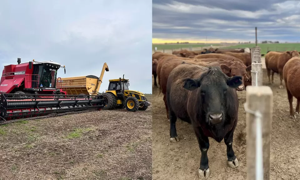 Una mirada profunda sobre el negocio agrícolaganadero
