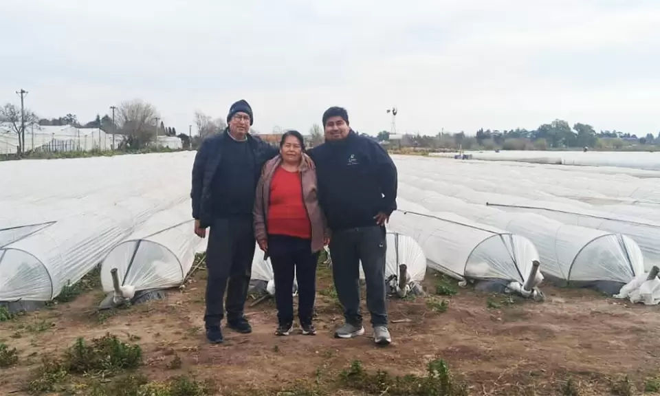 Un joven pergaminense aprovecha un campo del periurbano para cultivar frutillas