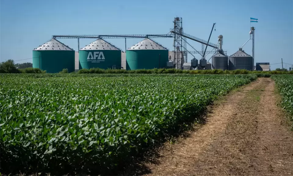 Qué es el fondo de USD 1 Millón “AFA Escala” de Agricultores Federados Argentinos