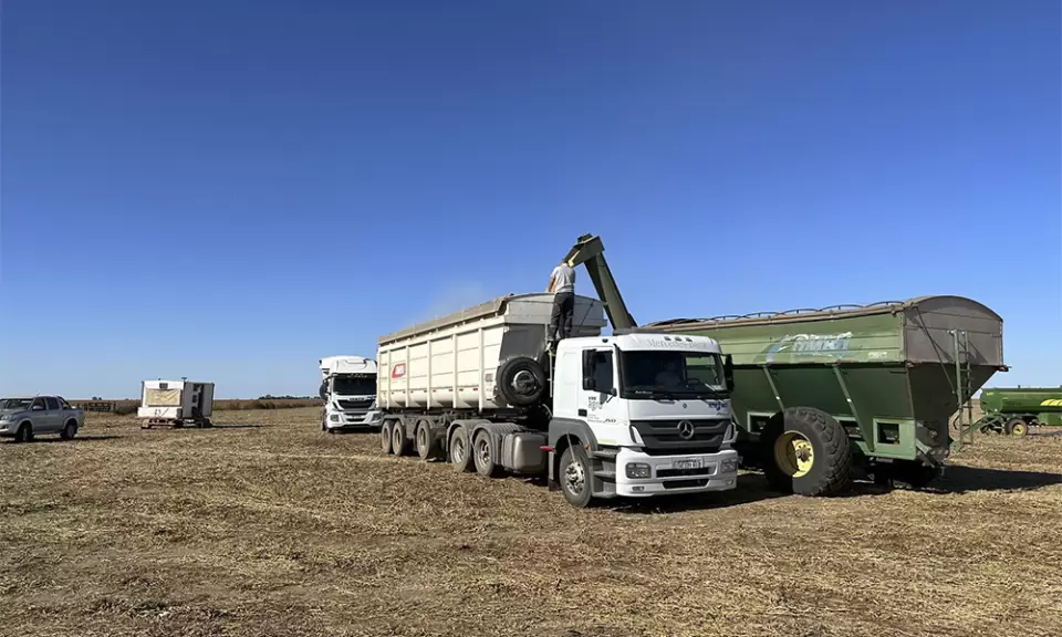 Por cada $100 de ganancia que da una hectárea agrícola, $60 se van en impuestos