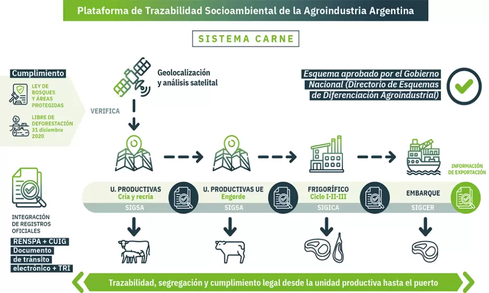 Advierten sobre los consentimientos que se le da a la plataforma VISEC