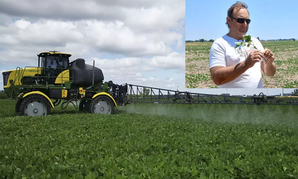 “Solo el 8% de las aplicaciones están respaldadas por una Receta Agronómica”