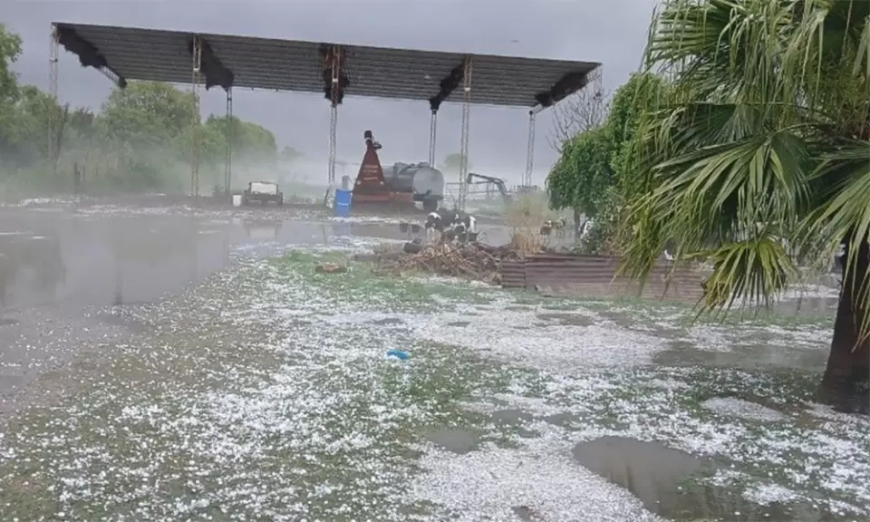 Cómo fue la granizada que arrasó algunos campos en Santa Fe