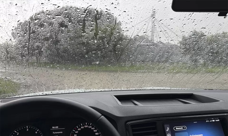 Cómo aprovechar la lluvia para potenciar los rindes